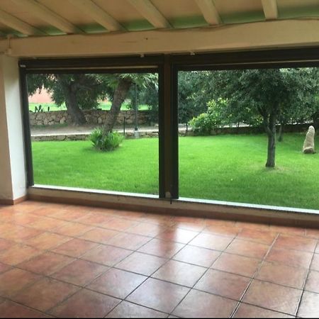 Hotel La Palma San Teodoro  Eksteriør billede